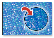 Standard blue "bubble cover" available at most pool stores